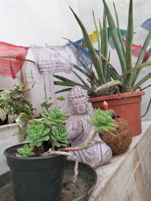 דירות קליארי Casa Marta מראה חיצוני תמונה